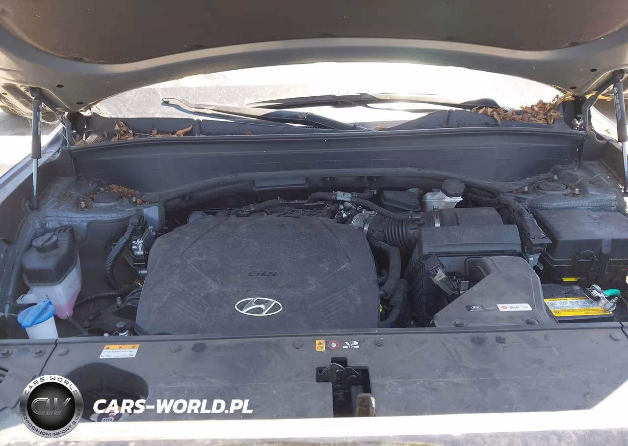 2024 Hyundai Palisade Xrt VIN:KM8R34GE2RU660386 - 10