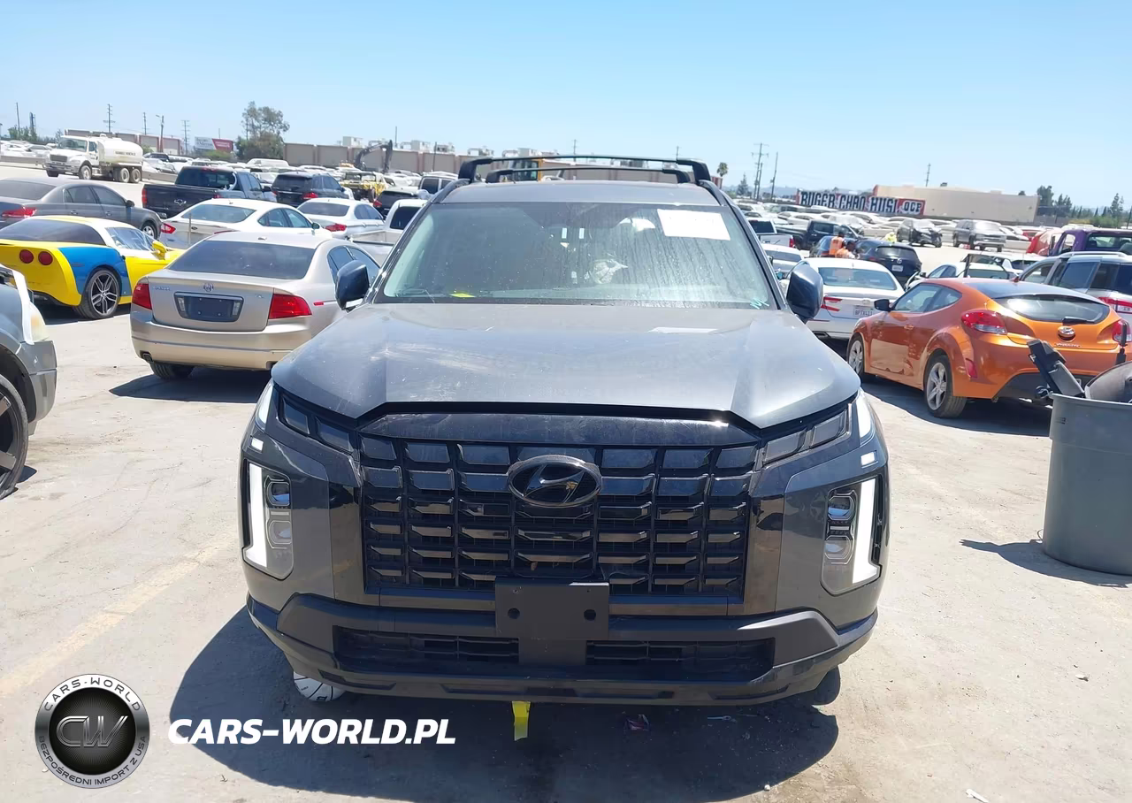 2024 Hyundai Palisade Xrt VIN:KM8R34GE2RU660386 - 13