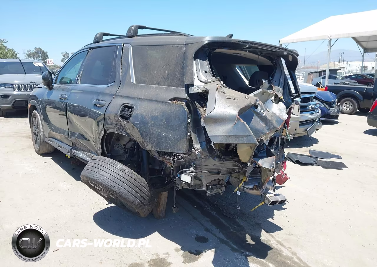 2024 Hyundai Palisade Xrt VIN:KM8R34GE2RU660386 - 3