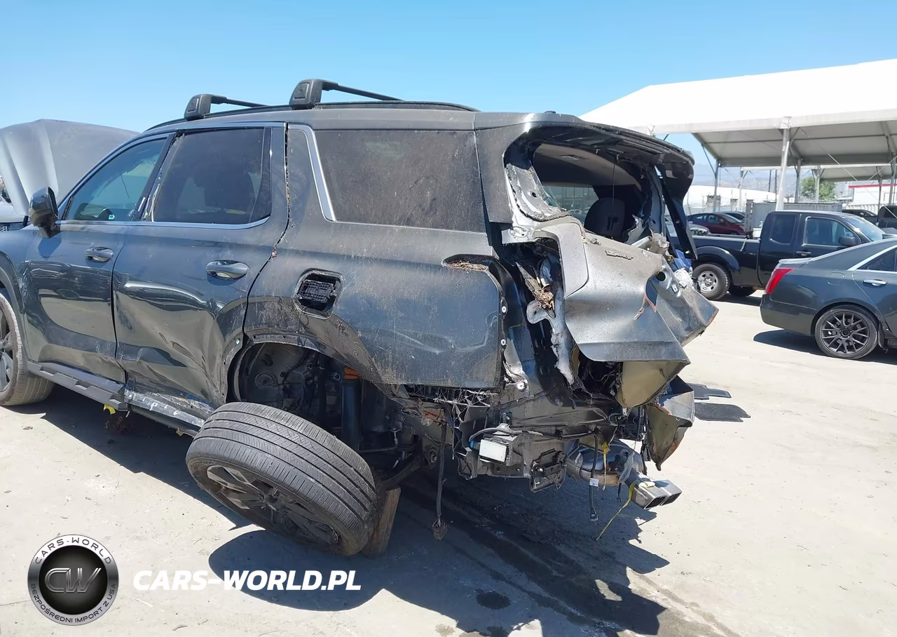 2024 Hyundai Palisade Xrt VIN:KM8R34GE2RU660386 - 6