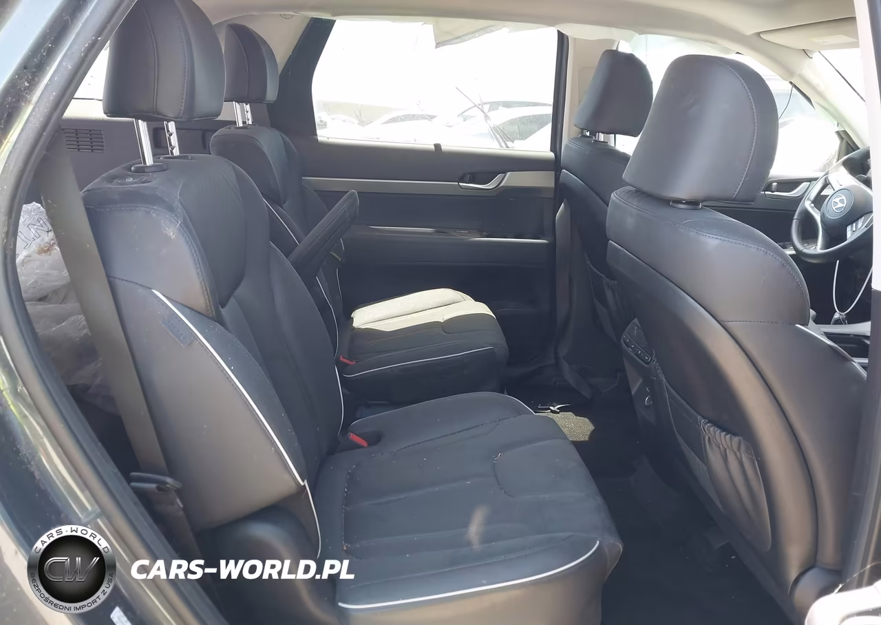 2024 Hyundai Palisade Xrt VIN:KM8R34GE2RU660386 - 8