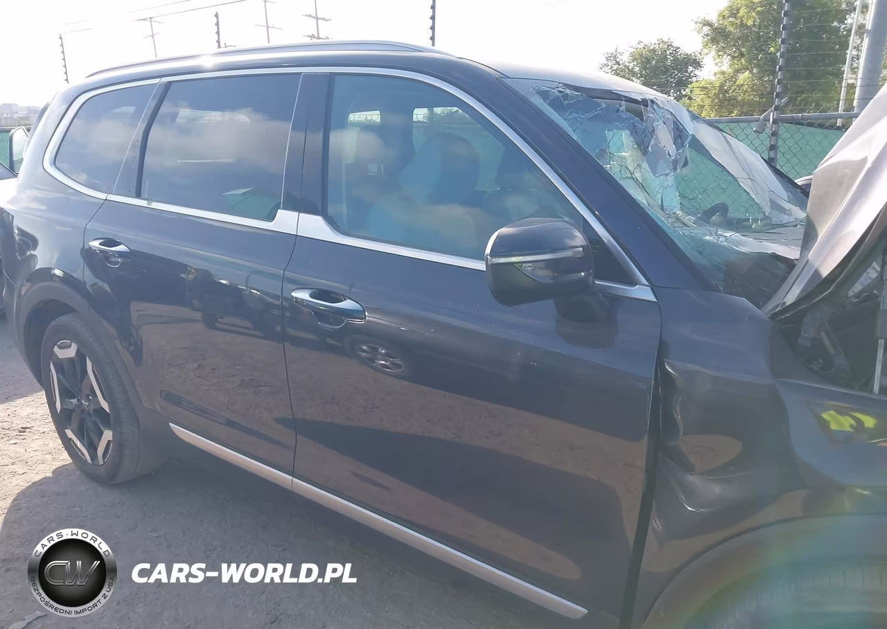 2025 Kia Telluride S VIN:5XYP64GC5SG680446 - 12