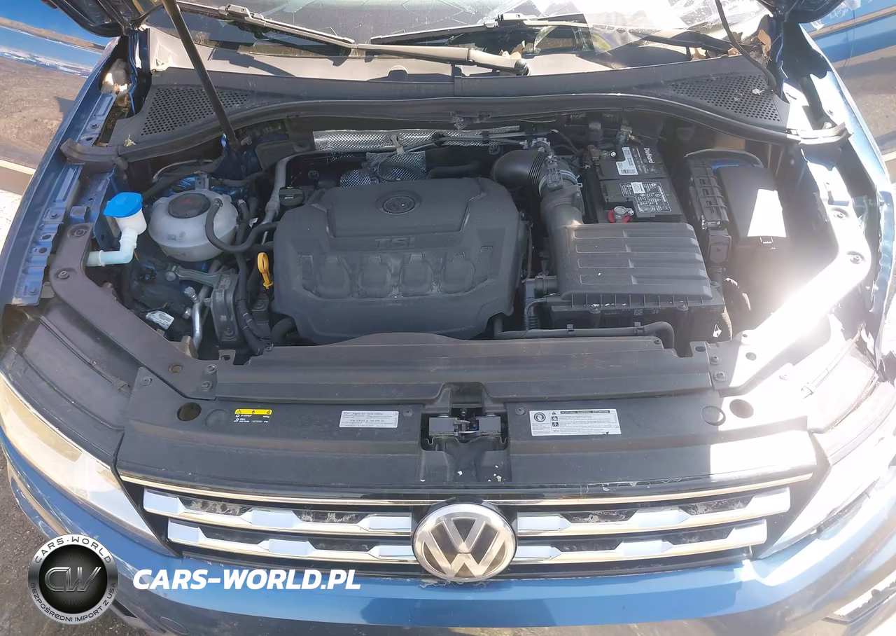 2018 Volkswagen Tiguan 2.0T Se-2.0T Sel VIN:3VV3B7AXXJM039335 - 10