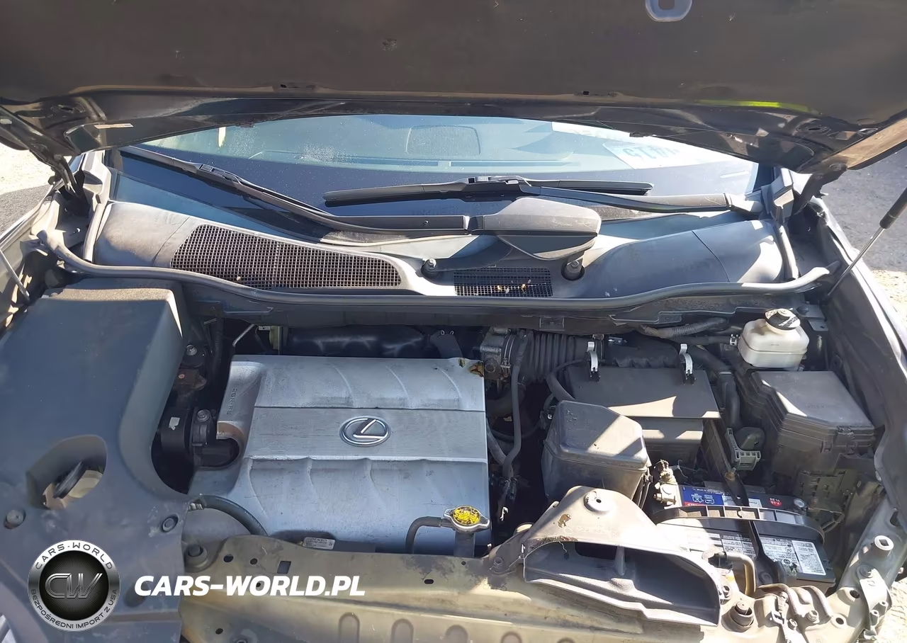 2011 Lexus Rx 350 VIN:2T2BK1BA7BC099578 - 10