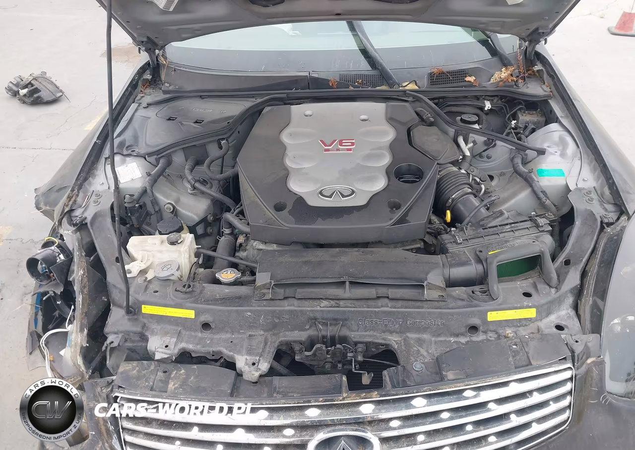 2004 Infiniti G35 VIN:JNKCV54EX4M300465 - 10