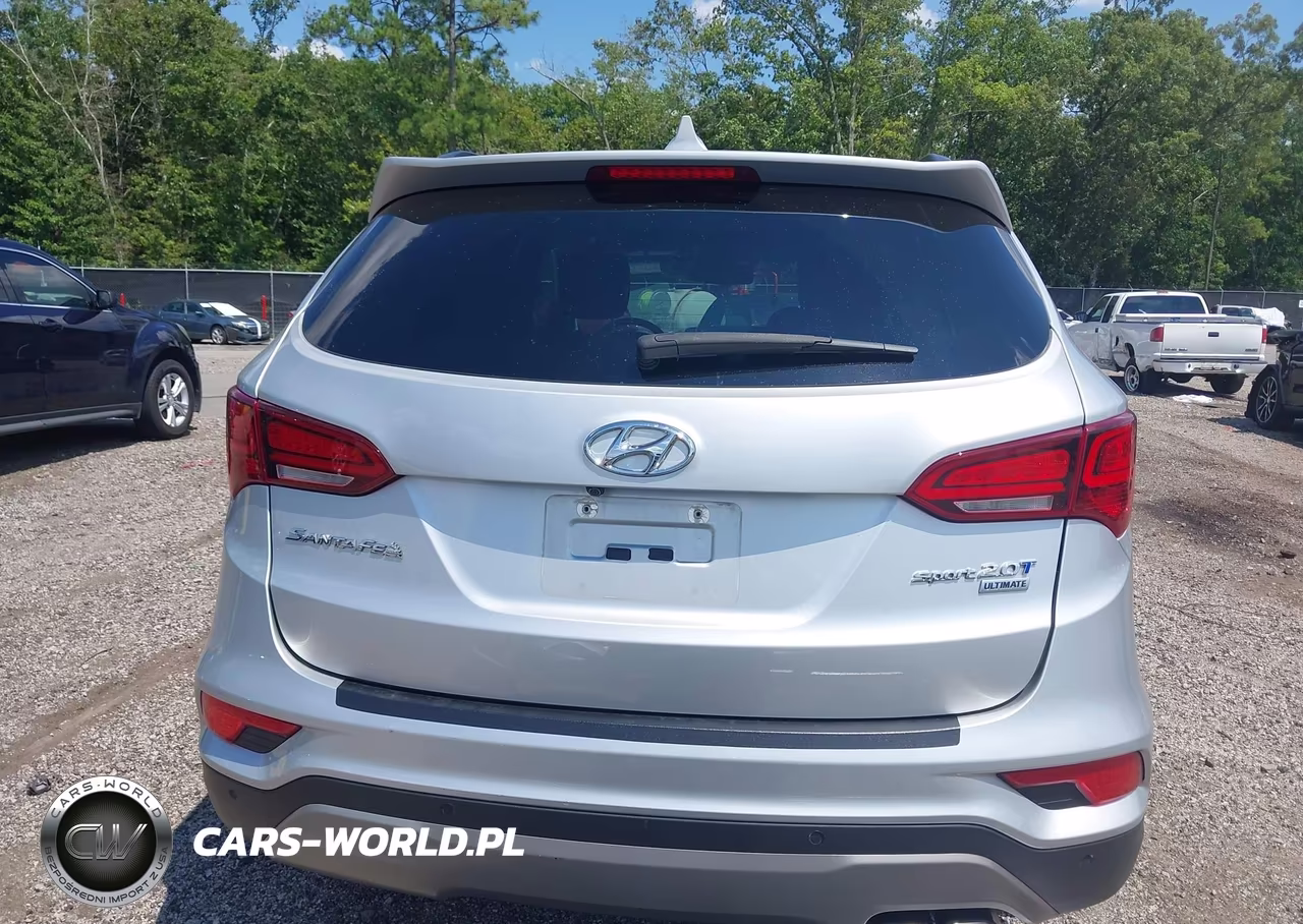 2017 Hyundai Santa Fe Sport 2.0T Ultimate VIN:5XYZW4LA3HG489811 - 17
