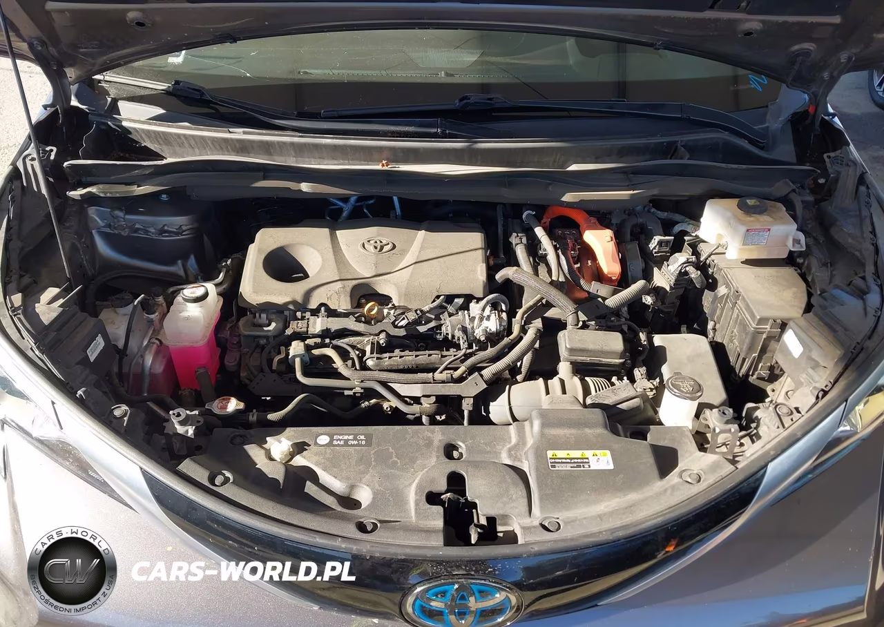 2023 Toyota Sienna Platinum VIN:5TDESKFC4PS081525 - 10