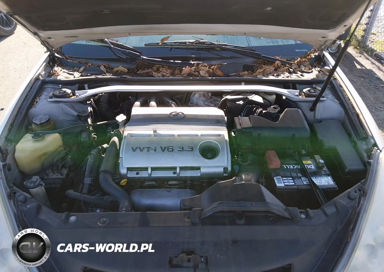 2004 Lexus Es 330 VIN:JTHBA30GX45025077 - 10