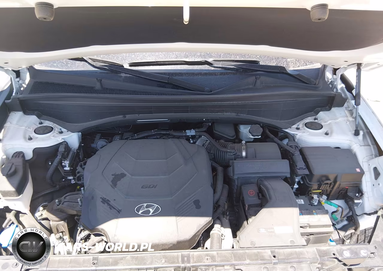 2025 Hyundai Palisade Sel VIN:KM8R2DGE6SU926162 - 10