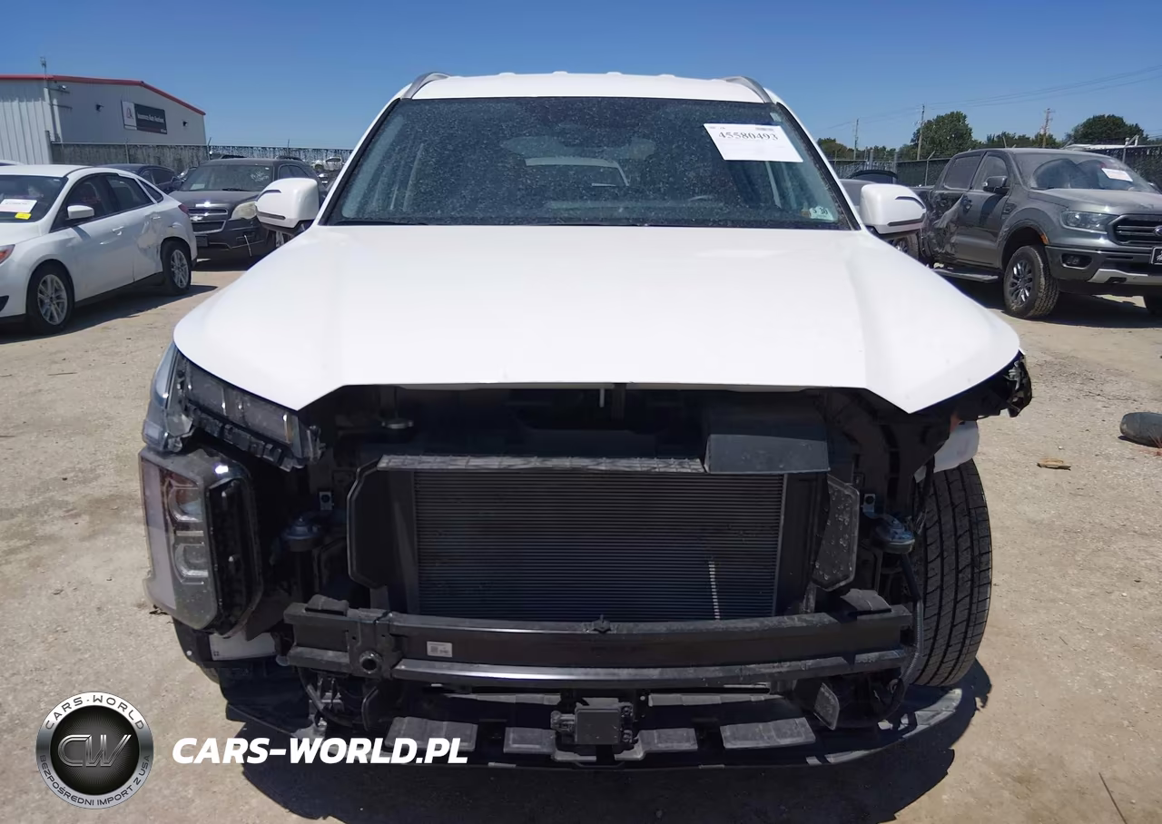 2025 Hyundai Palisade Sel VIN:KM8R2DGE6SU926162 - 13