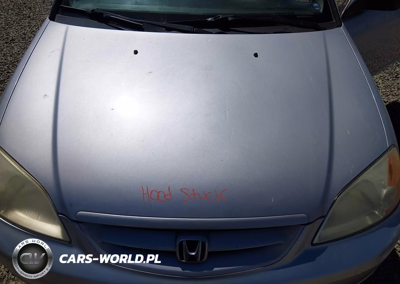 2003 Honda Civic Lx VIN:1HGEM22573L062823 - 10