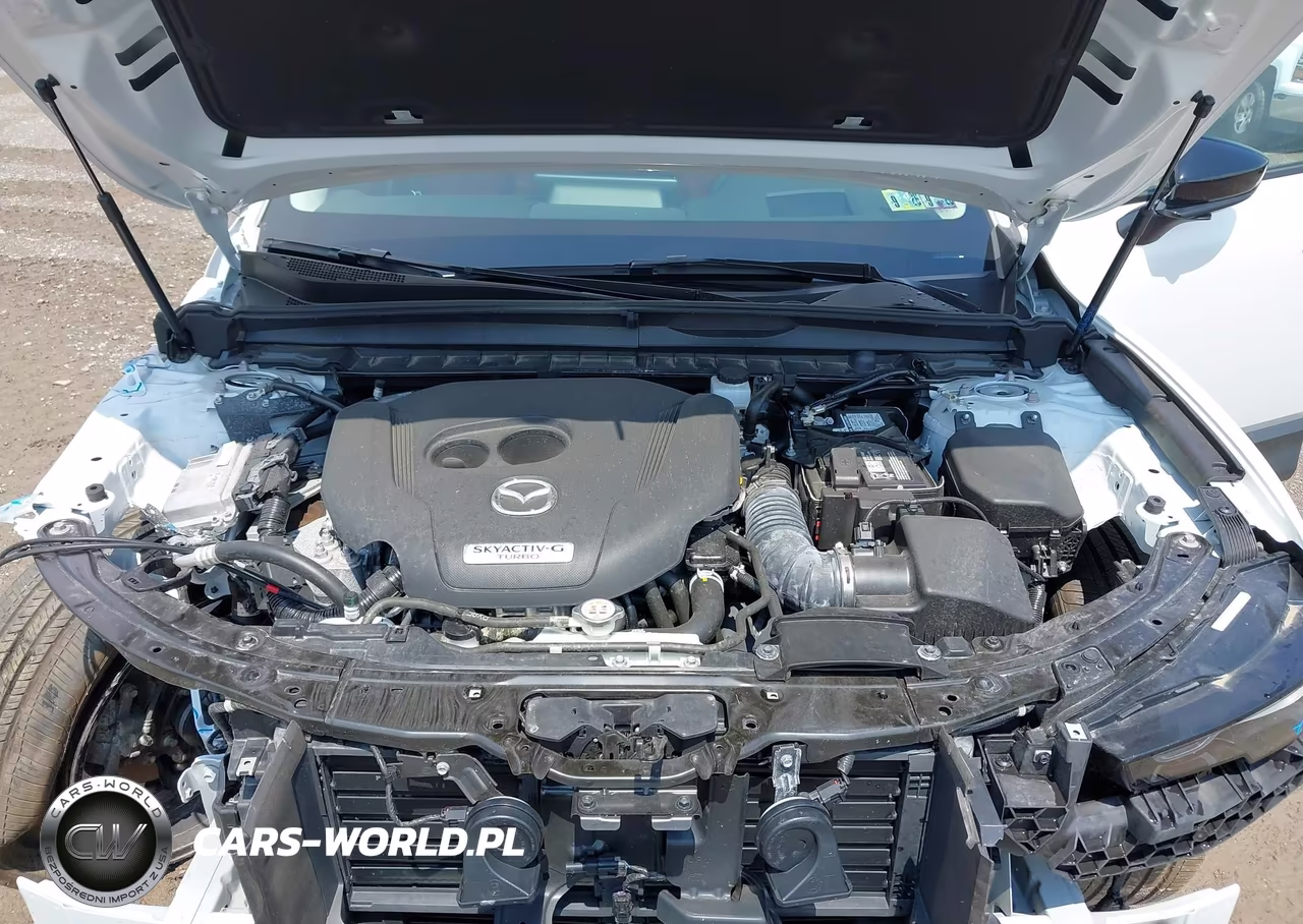 2025 Mazda Cx-50 2.5 Turbo Premium Package VIN:7MMVABDY3SN382450 - 10