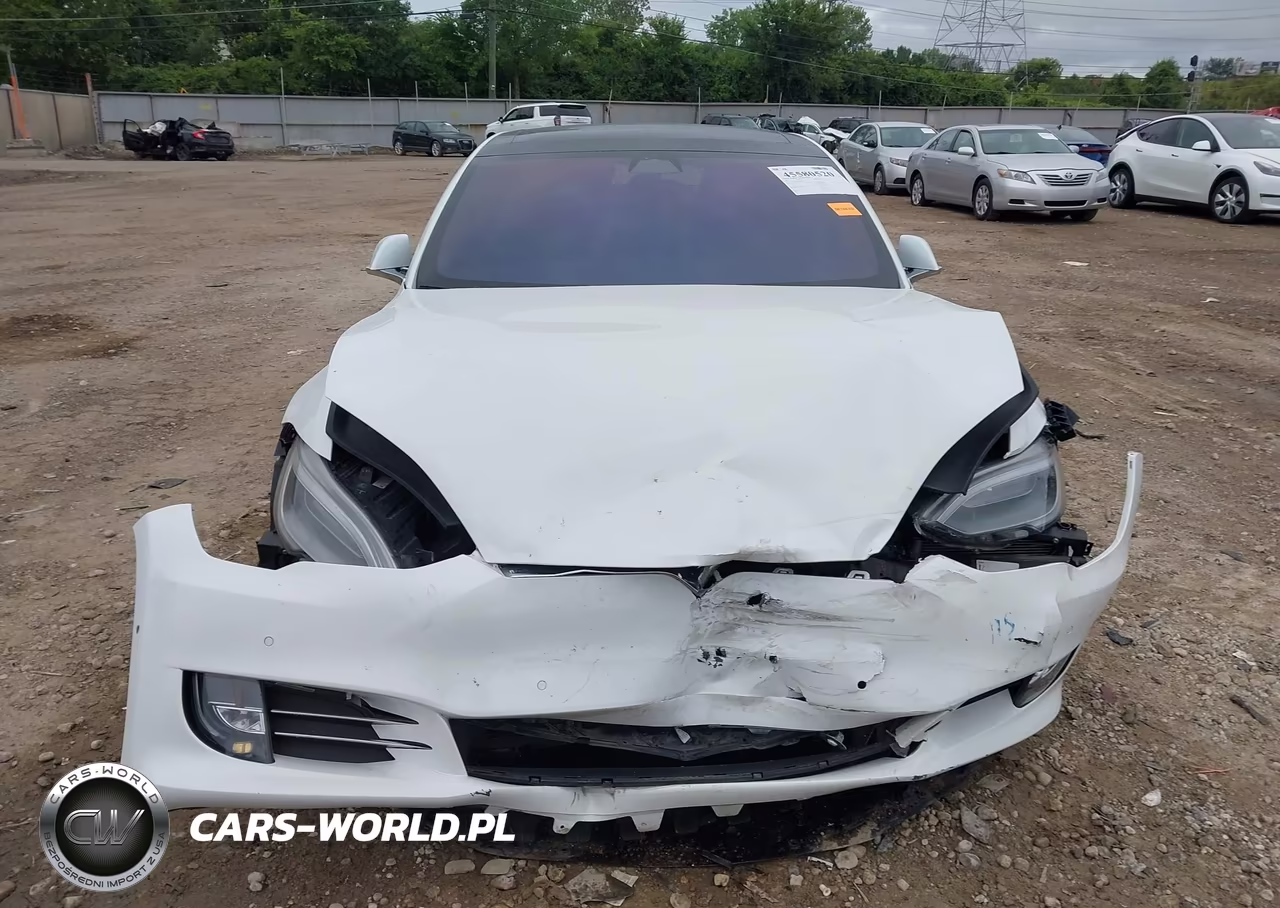 2018 Tesla Model S 100D-75D-P100D VIN:5YJSA1E28JF294644 - 12