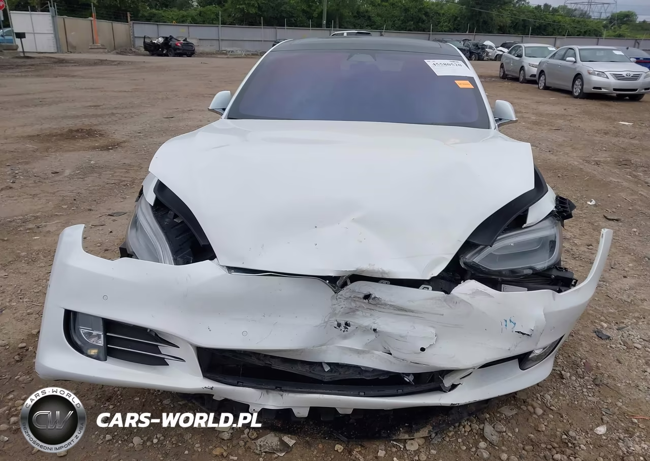 2018 Tesla Model S 100D-75D-P100D VIN:5YJSA1E28JF294644 - 6