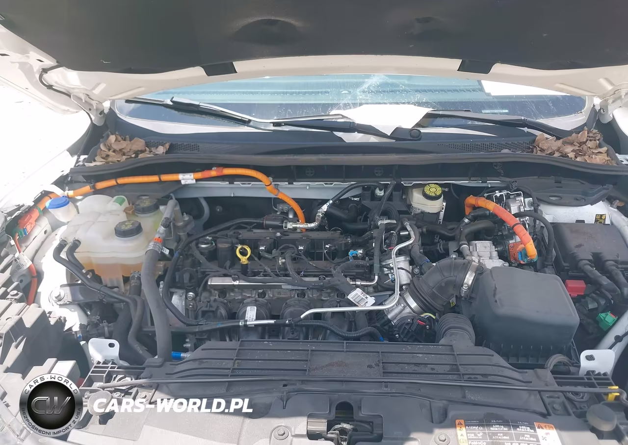 2025 Ford Escape St-Line VIN:1FMCU0MZ1SUA71547 - 10