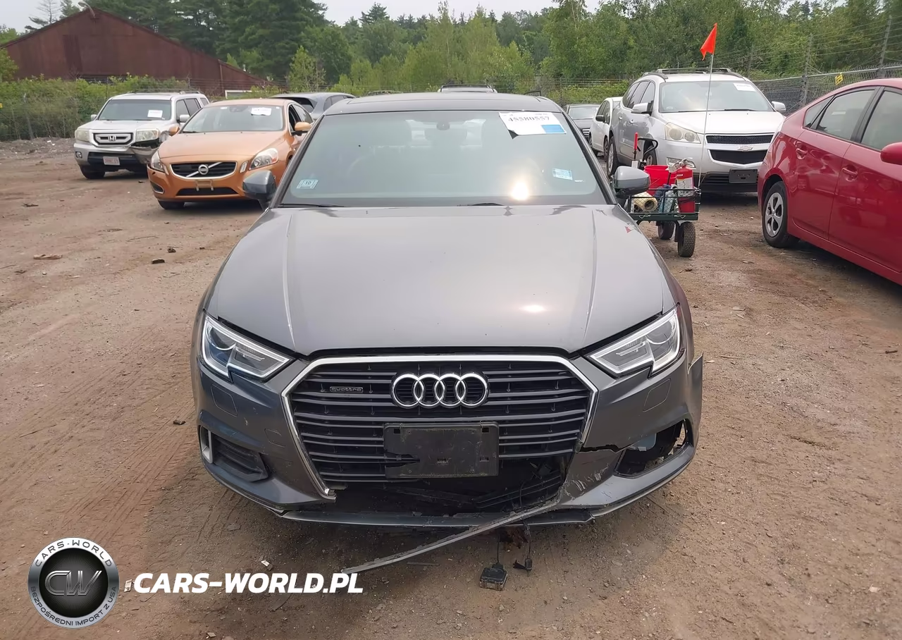 2019 Audi A3 45 Premium VIN:WAUBEGFF5KA115752 - 12