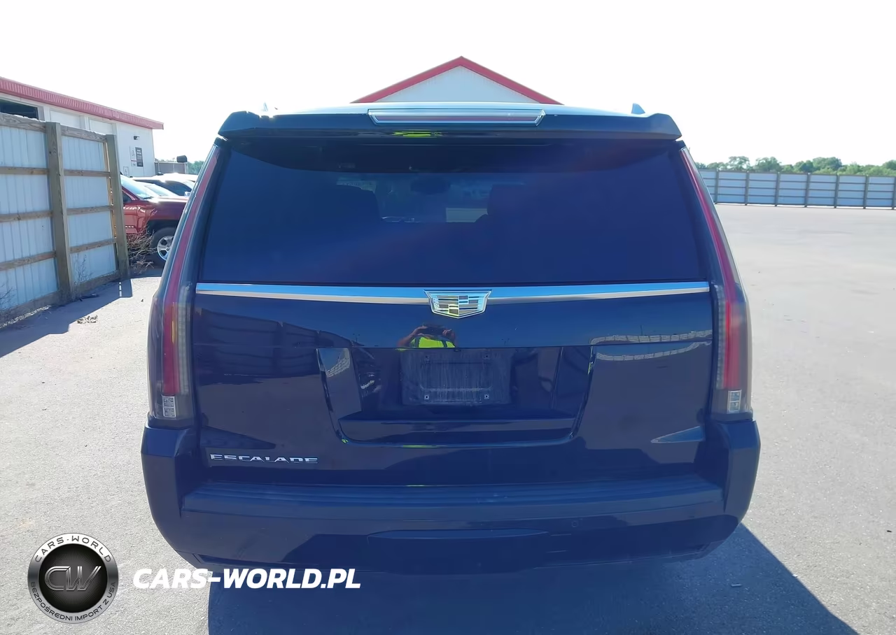2015 Cadillac Escalade Luxury VIN:1GYS4MKJ0FR544202 - 16