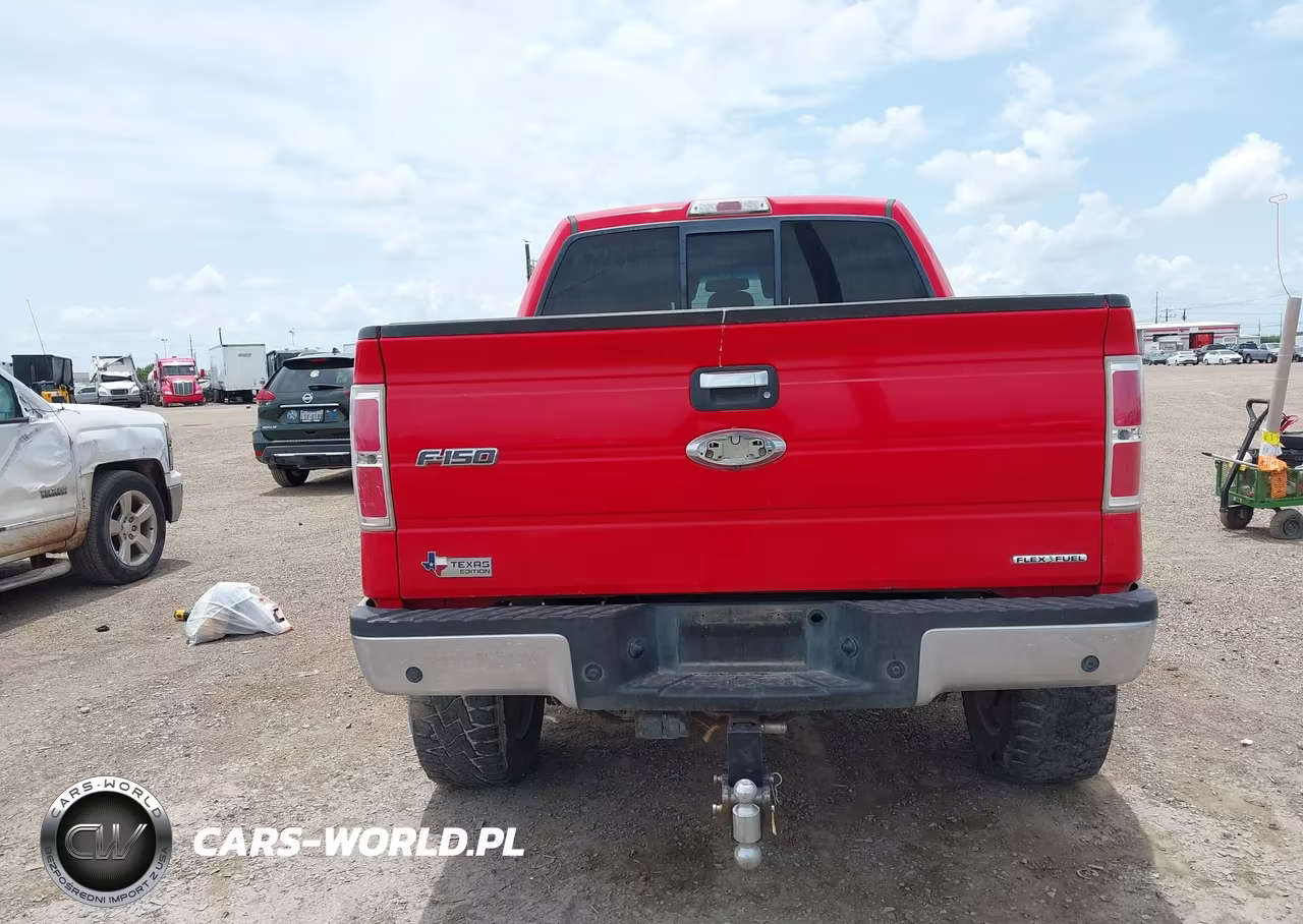 2013 Ford F-150 Xlt VIN:1FTFW1EF1DKD06159 - 16