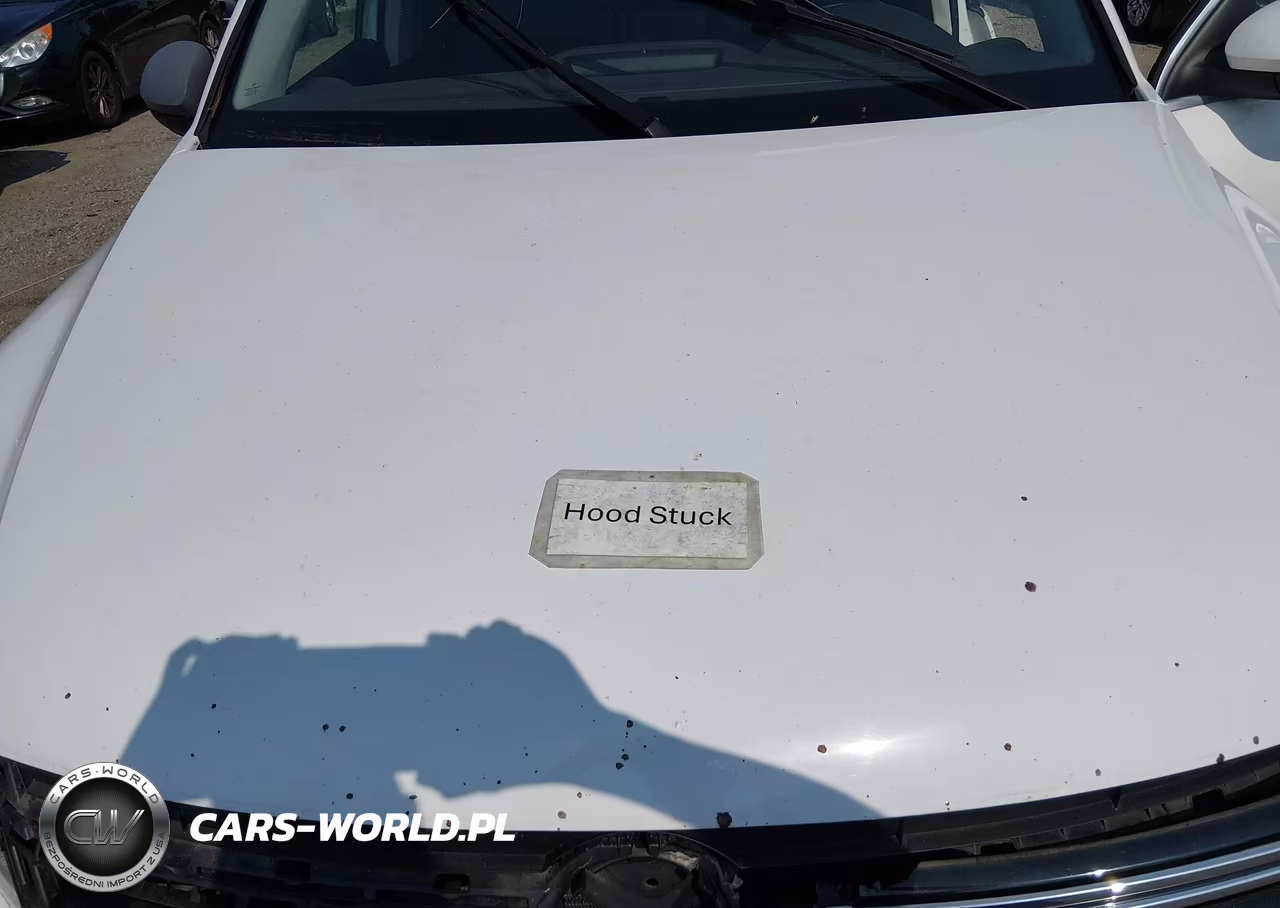 2013 Volkswagen Tiguan Se VIN:WVGBV3AX6DW090776 - 10
