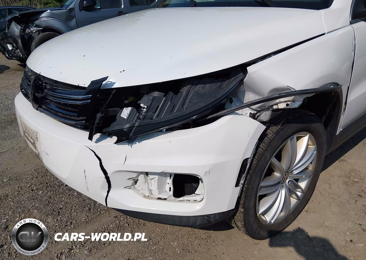 2013 Volkswagen Tiguan Se VIN:WVGBV3AX6DW090776 - 13