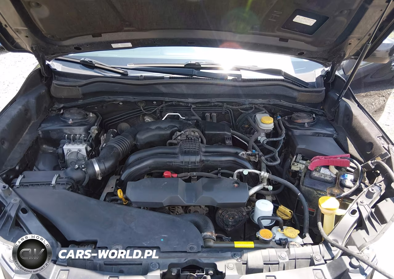 2014 Subaru Forester 2.5I Premium VIN:JF2SJAEC9EH545767 - 10