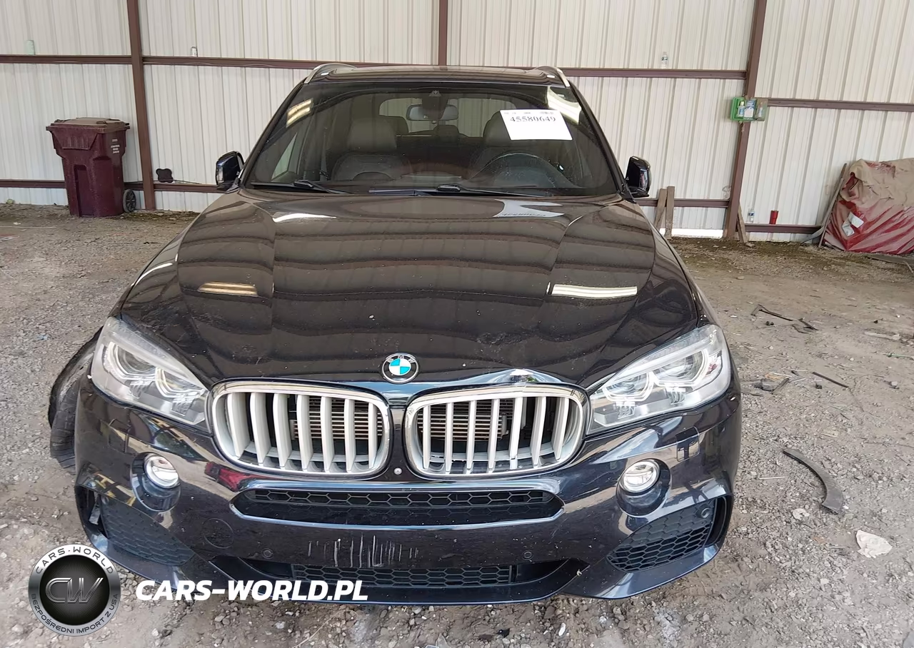2017 BMW X5 Edrive xDrive40E Iperformance VIN:5UXKT0C56H0S80640 - 12