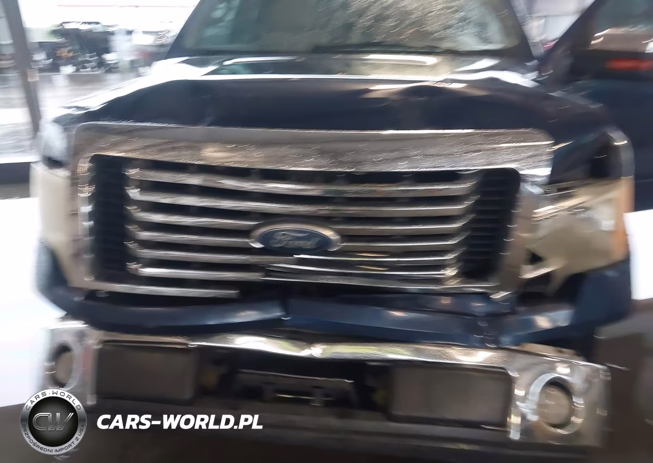 2010 Ford F-150 Xlt VIN:1FTEX1C89AFD73271 - 10