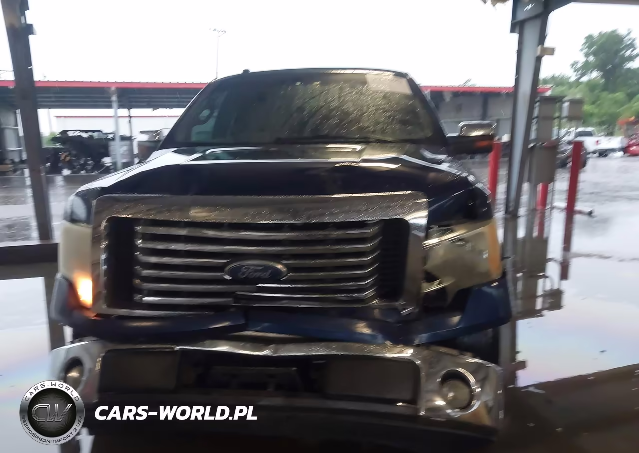 2010 Ford F-150 Xlt VIN:1FTEX1C89AFD73271 - 12