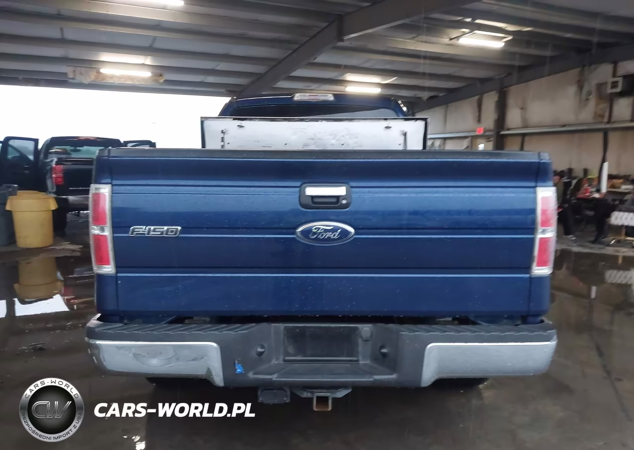 2010 Ford F-150 Xlt VIN:1FTEX1C89AFD73271 - 16