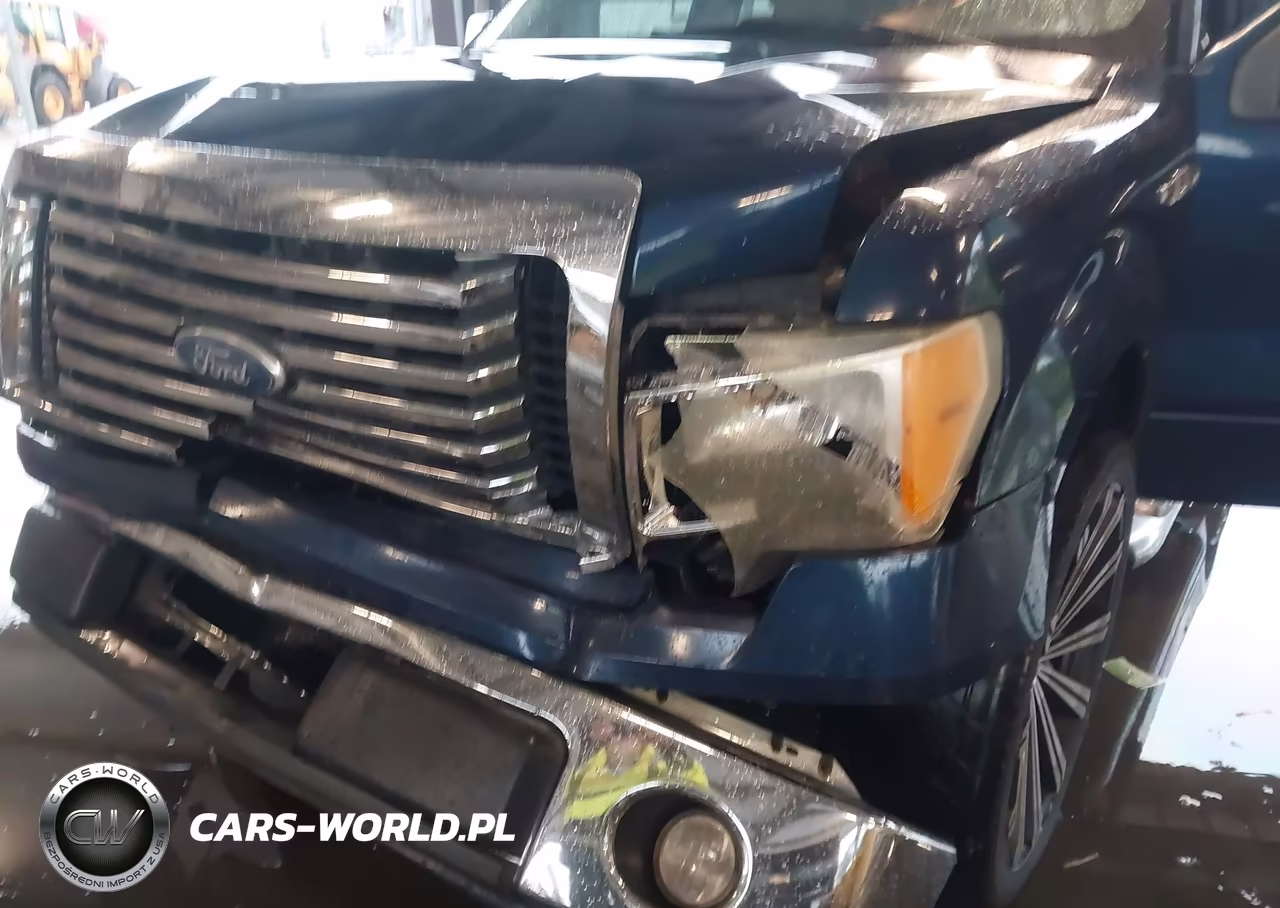 2010 Ford F-150 Xlt VIN:1FTEX1C89AFD73271 - 6