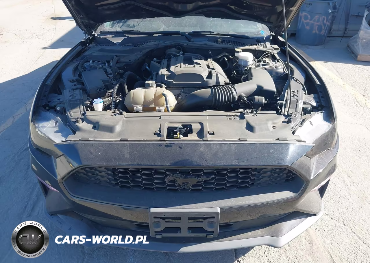 2020 Ford Mustang Ecoboost Fastback VIN:1FA6P8TH0L5191809 - 10