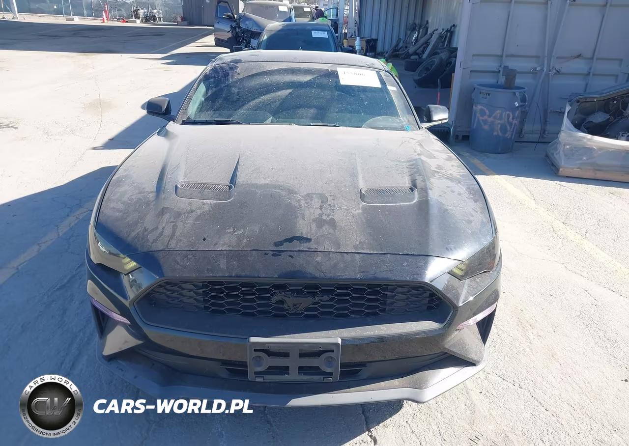 2020 Ford Mustang Ecoboost Fastback VIN:1FA6P8TH0L5191809 - 12