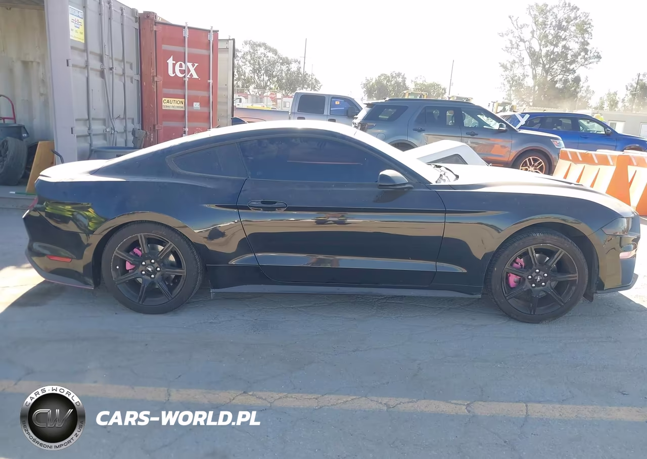 2020 Ford Mustang Ecoboost Fastback VIN:1FA6P8TH0L5191809 - 13