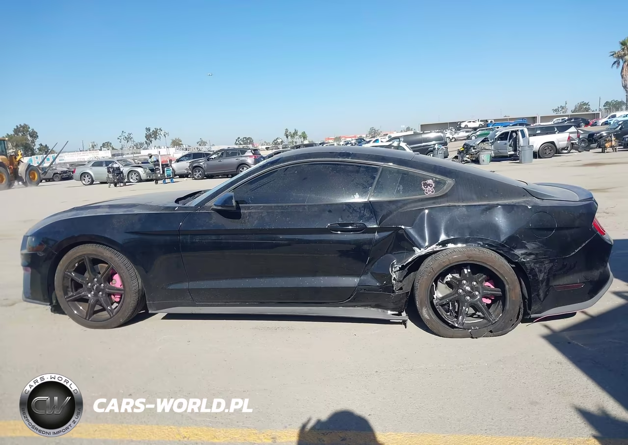 2020 Ford Mustang Ecoboost Fastback VIN:1FA6P8TH0L5191809 - 14