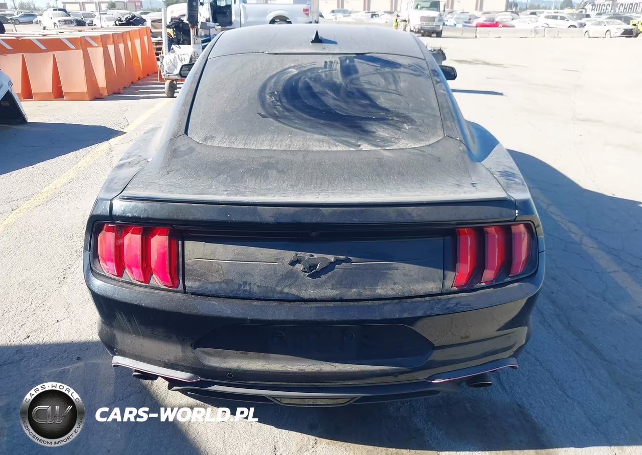2020 Ford Mustang Ecoboost Fastback VIN:1FA6P8TH0L5191809 - 16