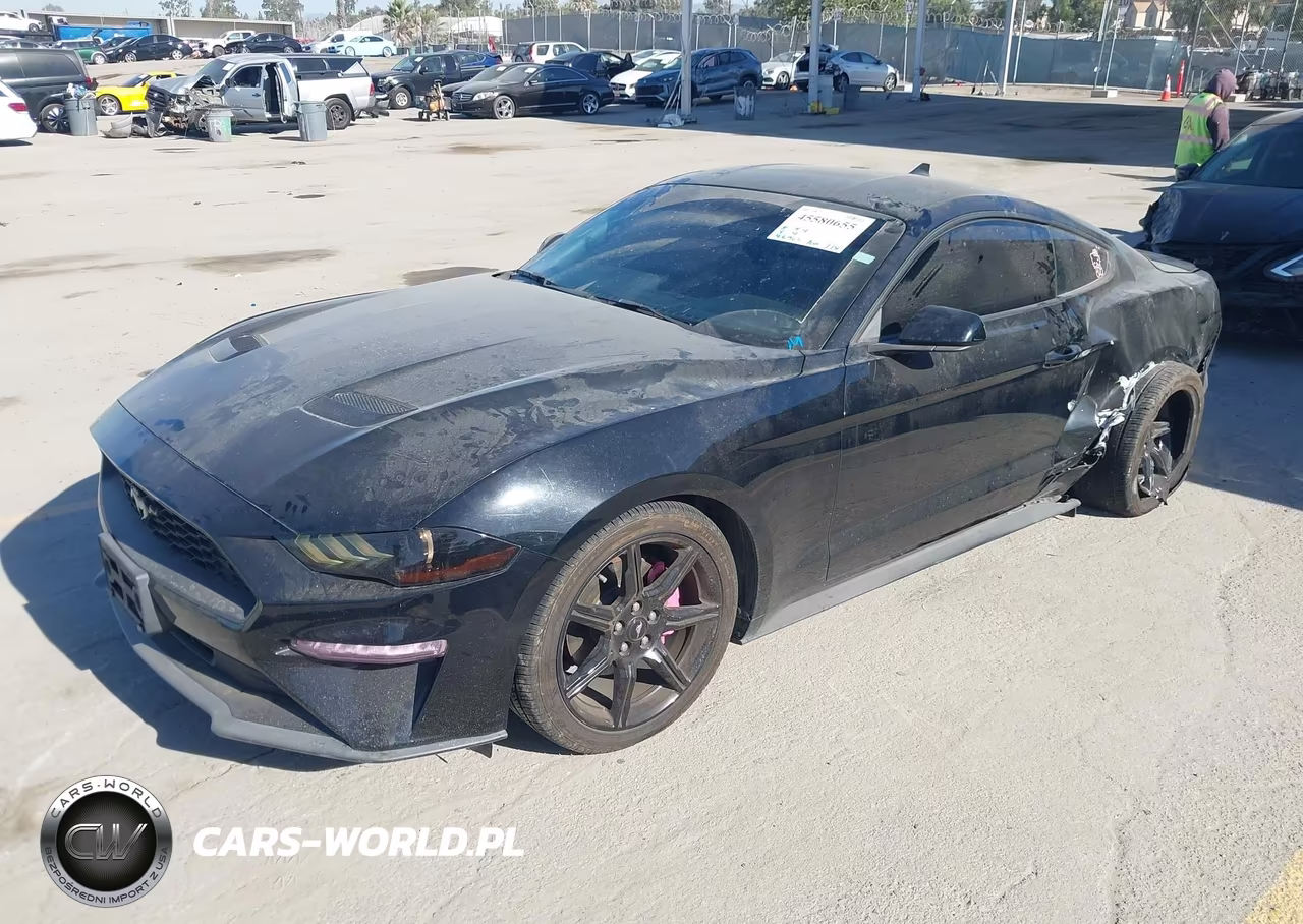 2020 Ford Mustang Ecoboost Fastback VIN:1FA6P8TH0L5191809 - 2