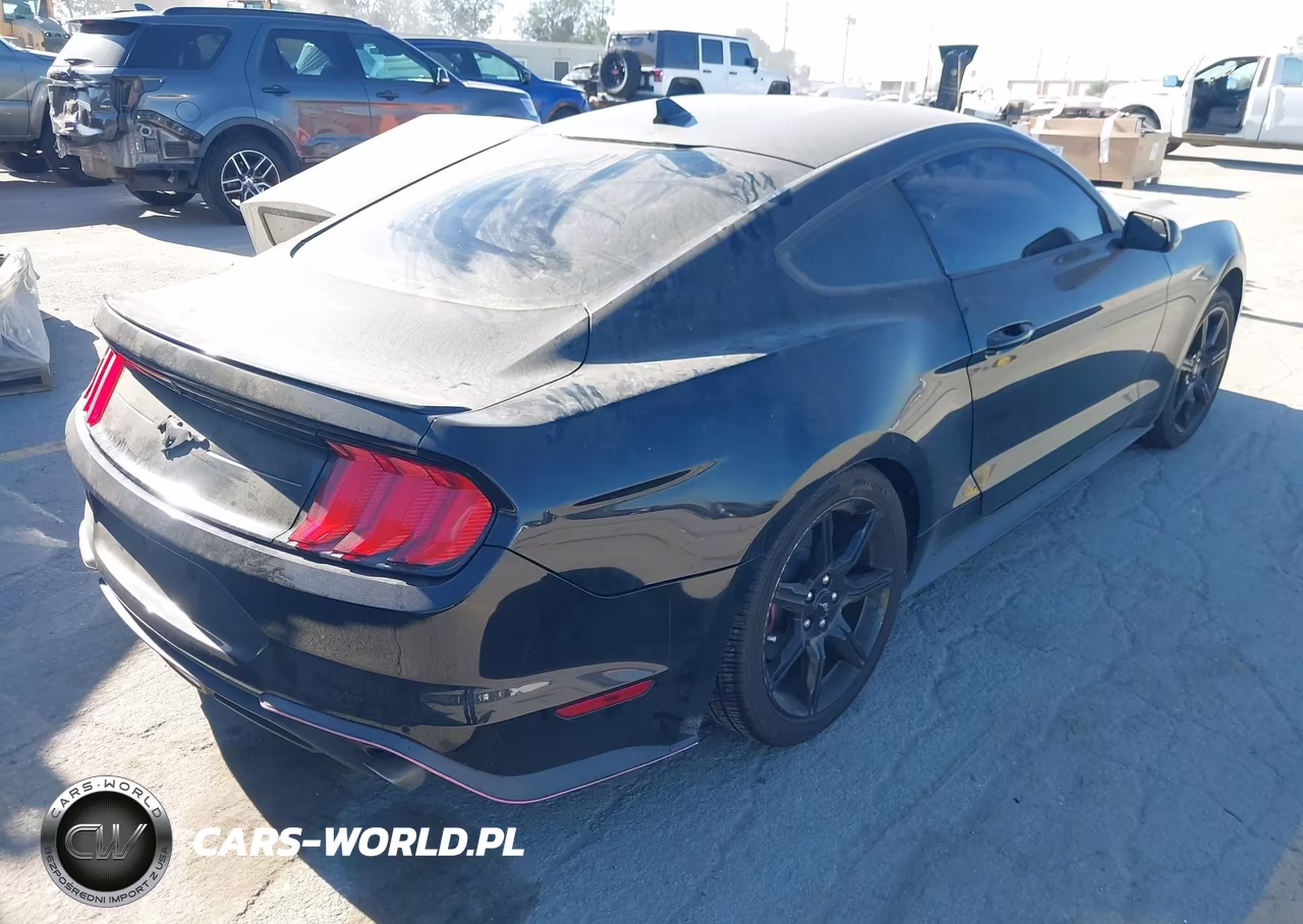 2020 Ford Mustang Ecoboost Fastback VIN:1FA6P8TH0L5191809 - 4