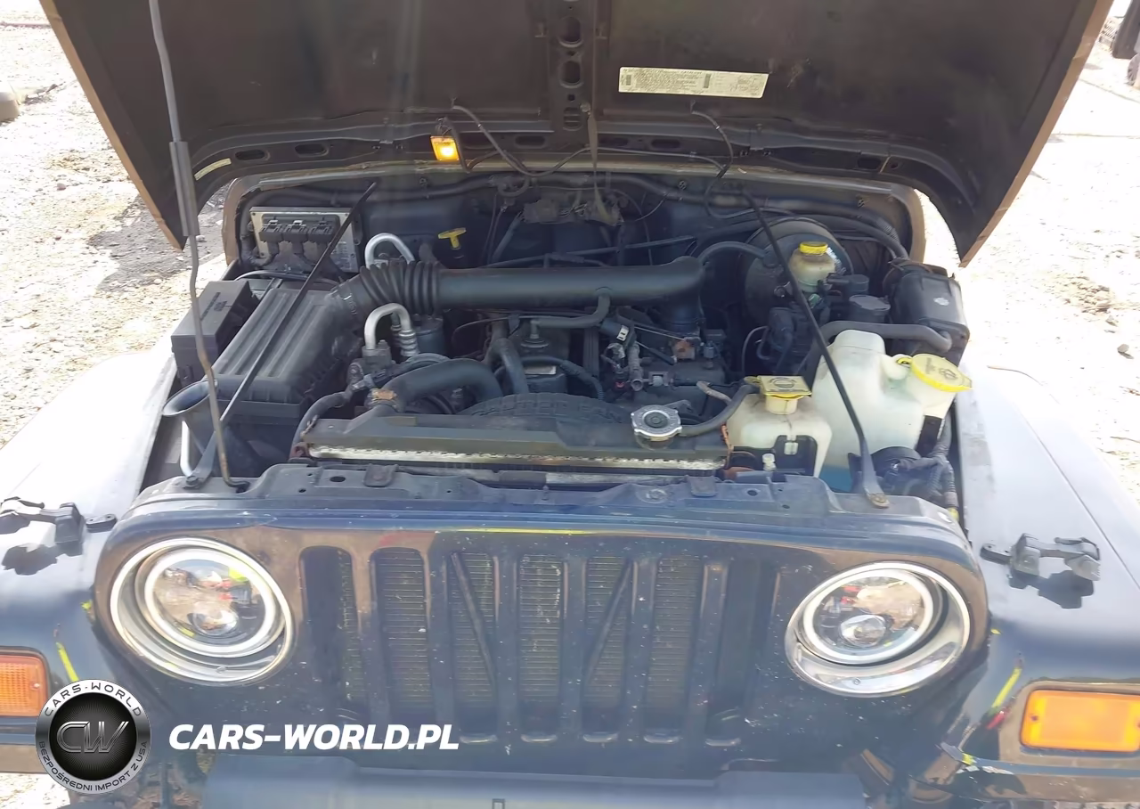 1999 Jeep Wrangler Sahara VIN:1J4FY49S2XP454471 - 10