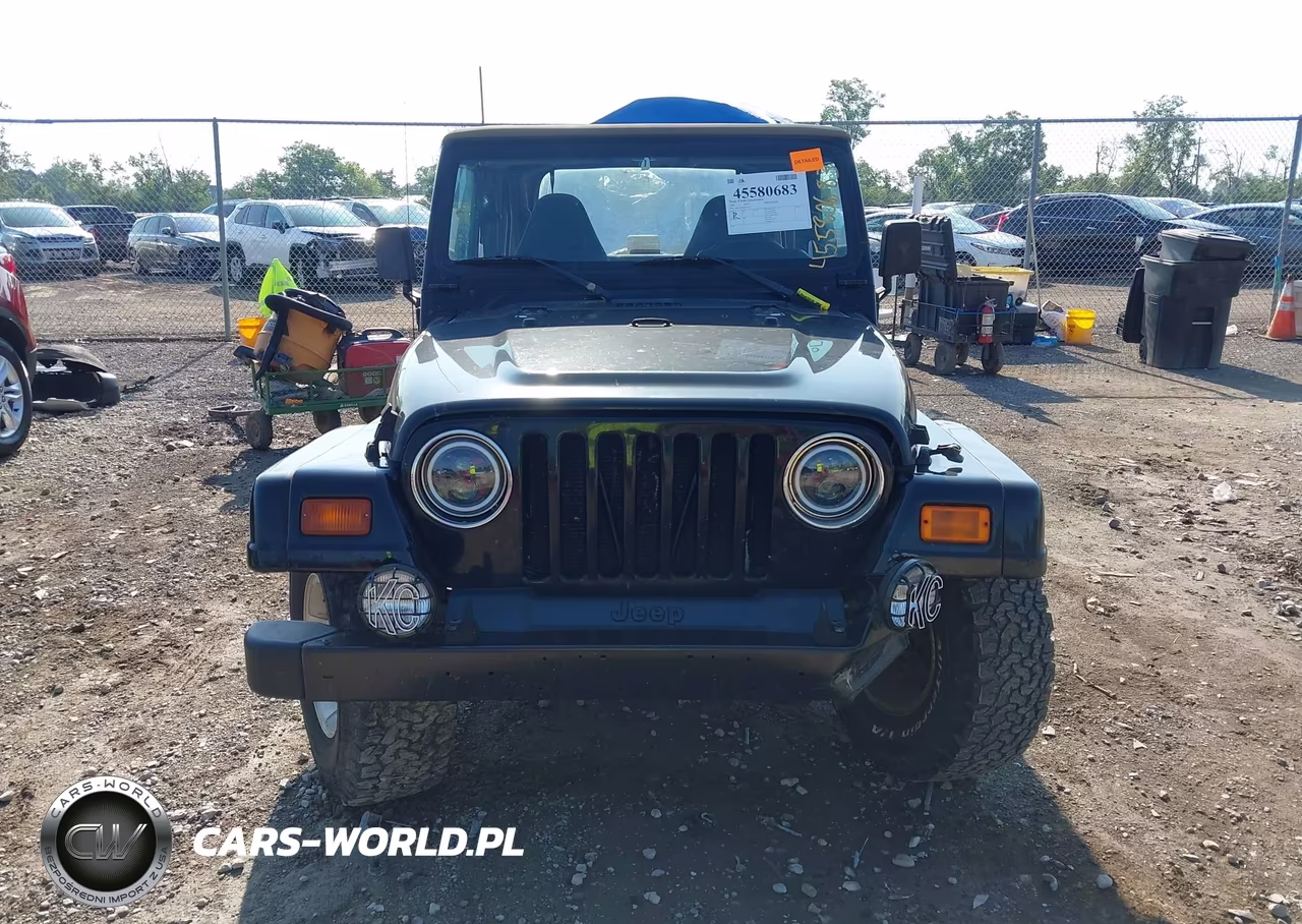 1999 Jeep Wrangler Sahara VIN:1J4FY49S2XP454471 - 12