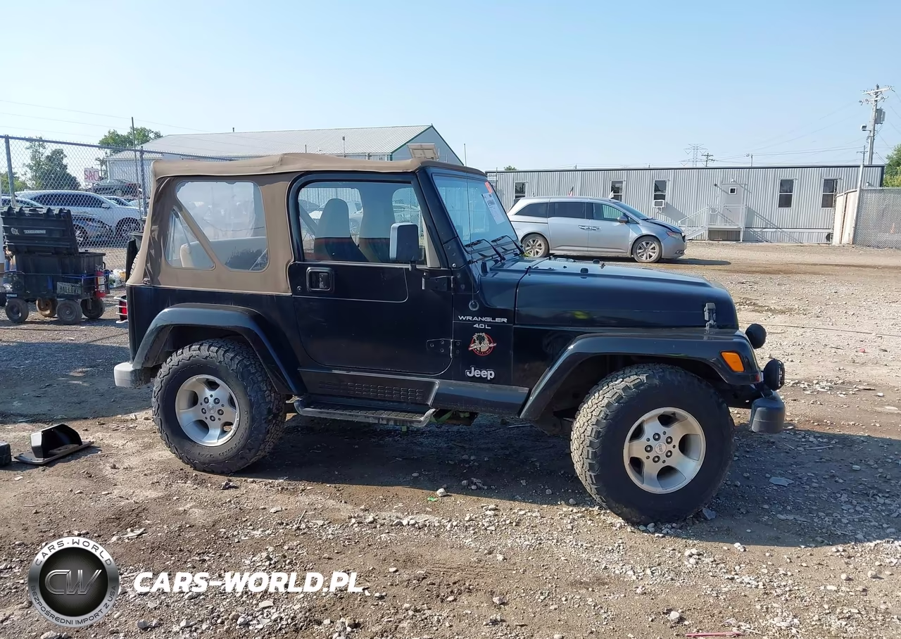 1999 Jeep Wrangler Sahara VIN:1J4FY49S2XP454471 - 13