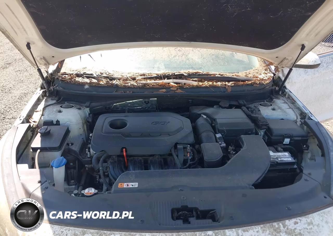 2015 Hyundai Sonata Se VIN:5NPE24AF1FH055062 - 10