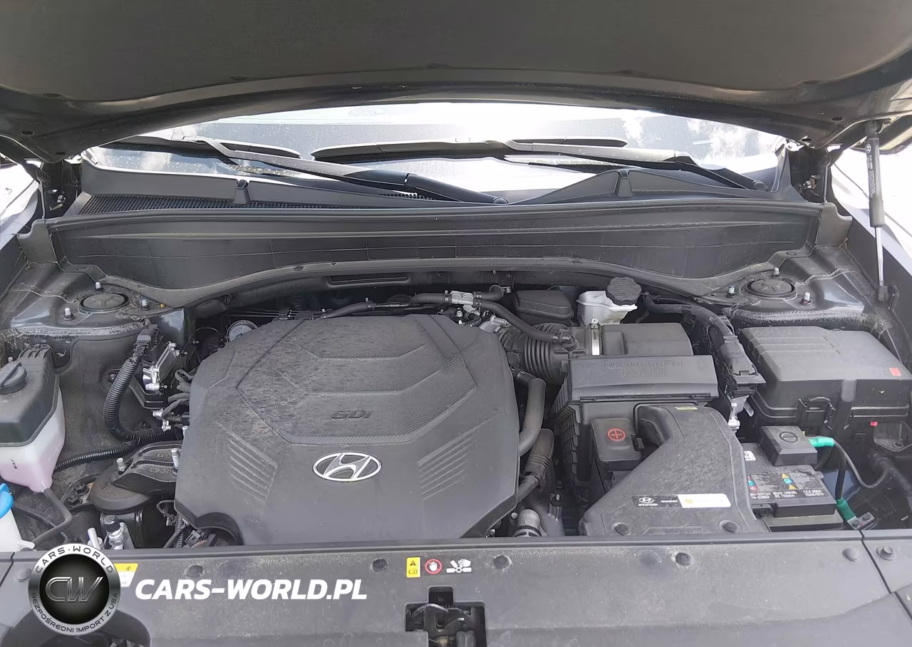 2024 Hyundai Palisade Xrt VIN:KM8R34GEXRU791615 - 10