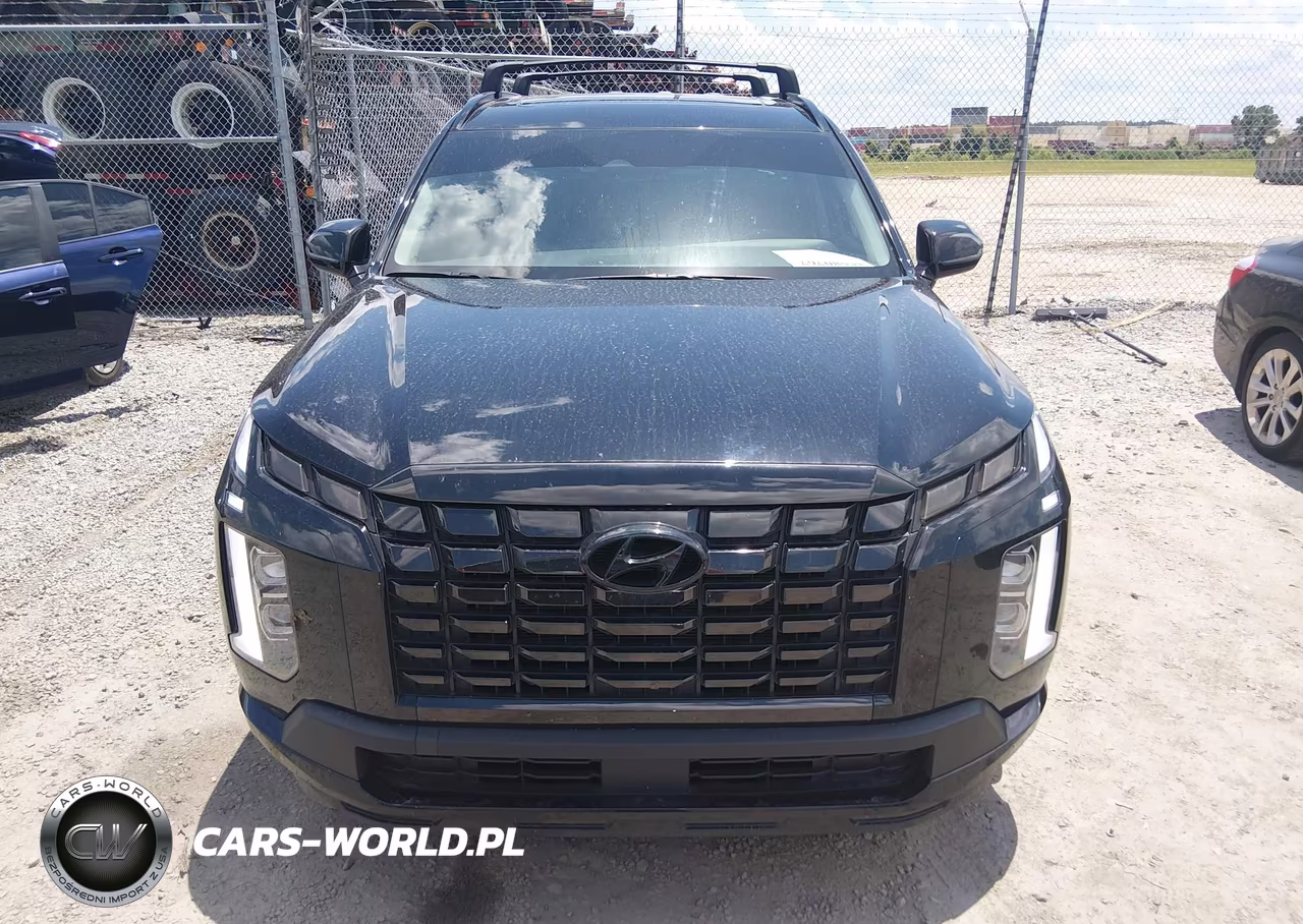 2024 Hyundai Palisade Xrt VIN:KM8R34GEXRU791615 - 12