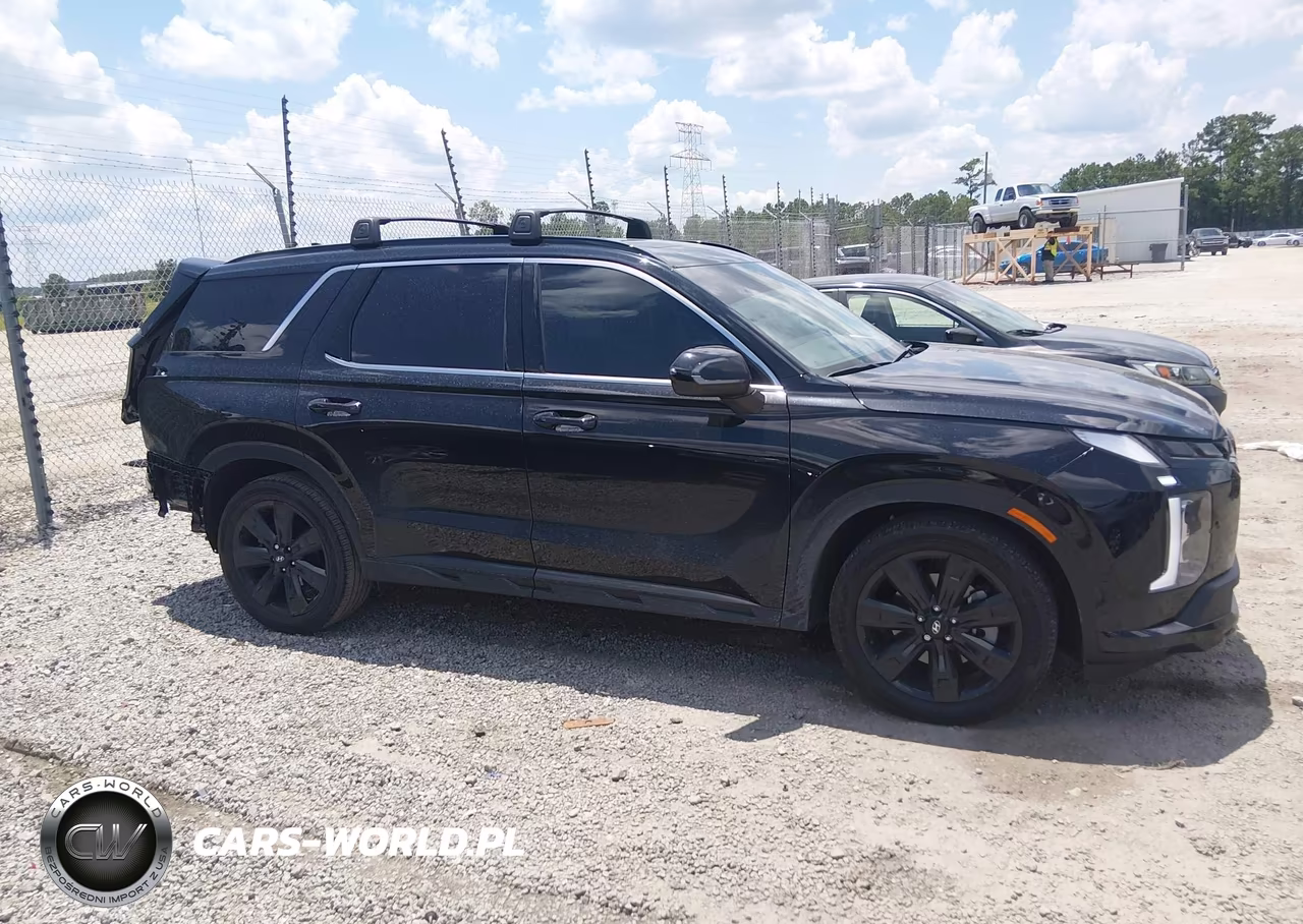 2024 Hyundai Palisade Xrt VIN:KM8R34GEXRU791615 - 13