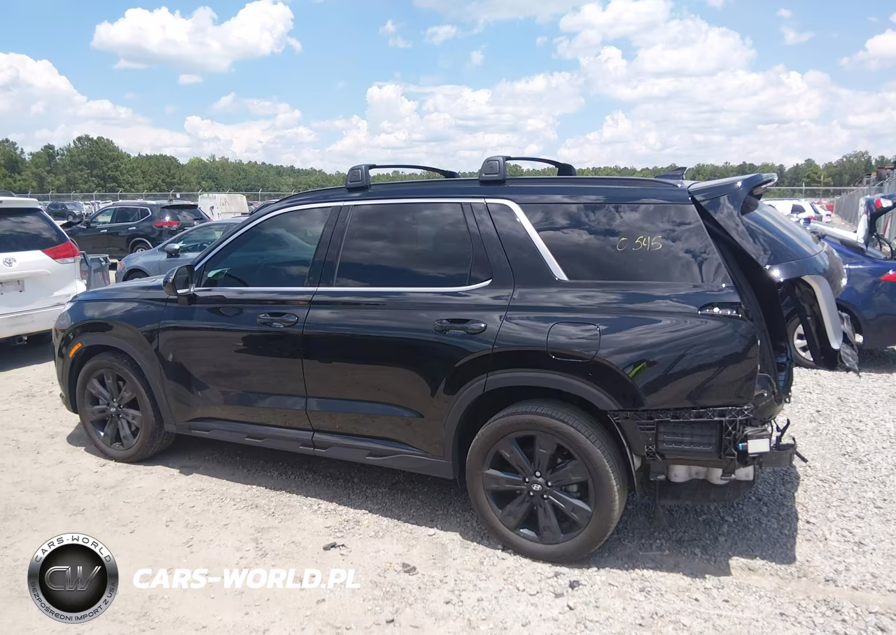 2024 Hyundai Palisade Xrt VIN:KM8R34GEXRU791615 - 14