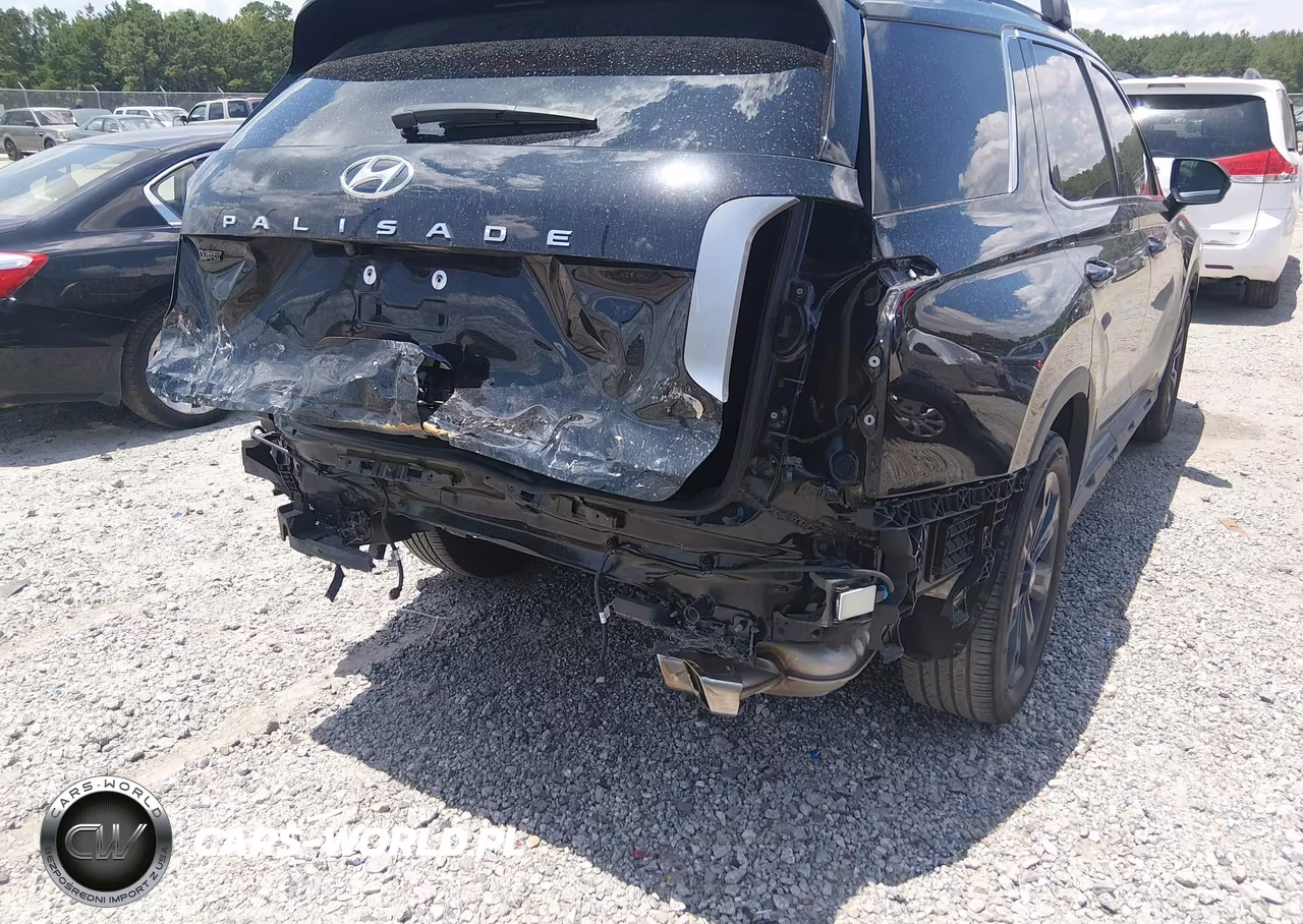 2024 Hyundai Palisade Xrt VIN:KM8R34GEXRU791615 - 17