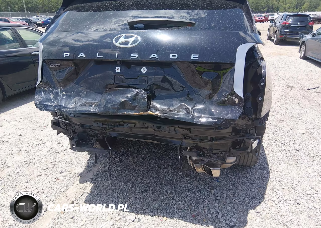 2024 Hyundai Palisade Xrt VIN:KM8R34GEXRU791615 - 18