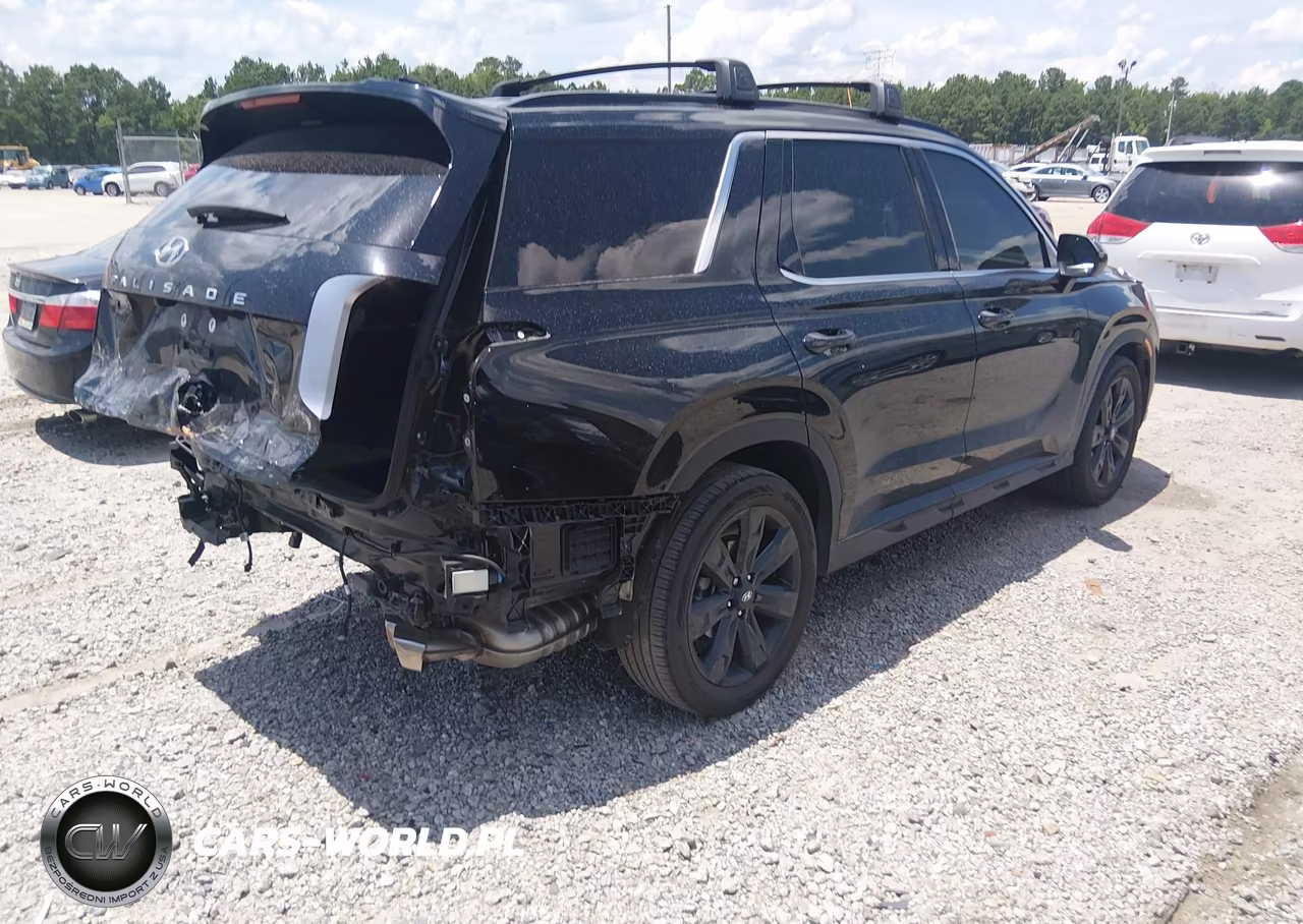 2024 Hyundai Palisade Xrt VIN:KM8R34GEXRU791615 - 4