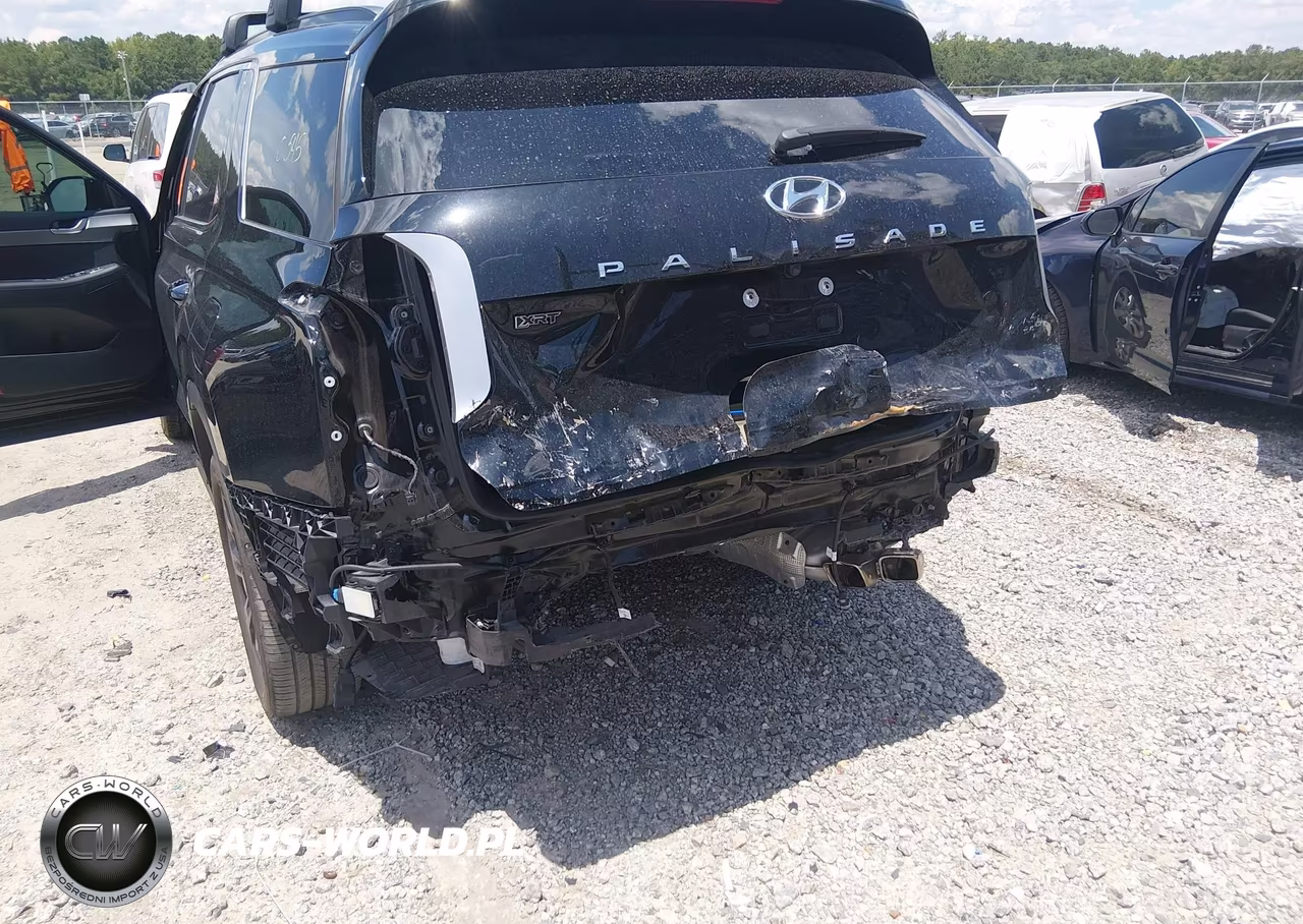 2024 Hyundai Palisade Xrt VIN:KM8R34GEXRU791615 - 6