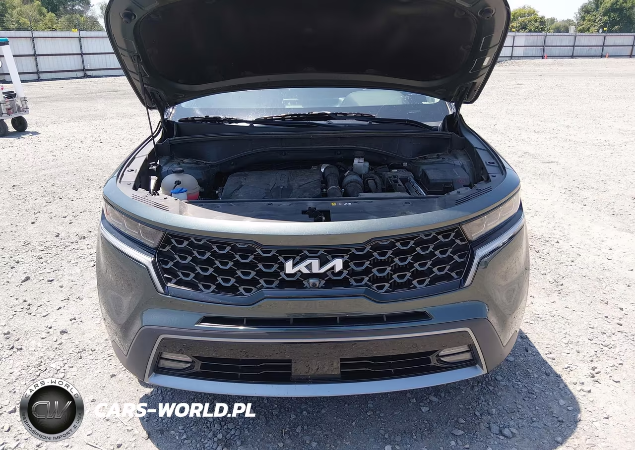 2023 Kia Sorento X-Line Sx Prestige VIN:5XYRKDLF4PG196702 - 10